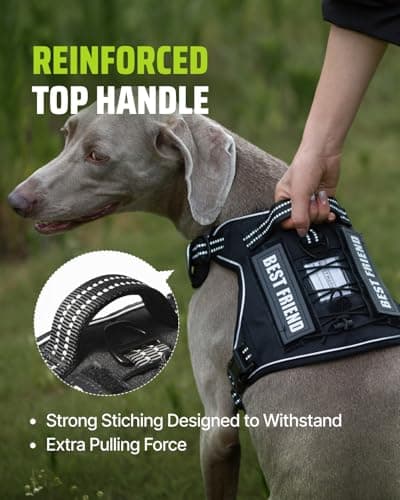 Tactical Dog Harness No-Pull Military Vest for Medium & Large Dogs, Adjustable Reflective Escape-Proof Vest with MOLLE System, Handle Control for Training, Walking, Outdoor – Black - Thumbnail 3