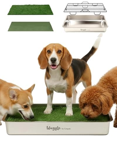 27.56” x 19.69” Stainless Steel Dog Potty Tray with Removable Grate – Fast Cleanup, Odor Control, Indoor & Outdoor Use for Small, Medium Dogs - Image 1