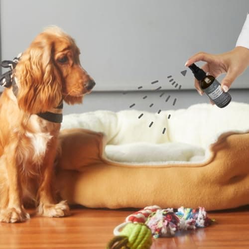 Tranquil Tails Pet Zen Pheromone Calming Spray for Dogs - Made in The USA - Alcohol-Free - for Carriers, Bedding, Travel & Vet Visits - Thumbnail 3