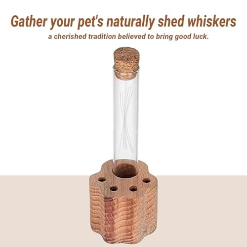 DegoCyhton Cat Whisker Holder, Wooden Clear Glass Jar, Sealed Cork Memorial Vase, Premium Cat Fur Keepsake, Desktop Display Decor Accent, Home Decor for Feline Owners, Thoughtful Pet Lover Gift - Thumbnail 4