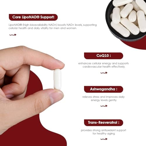 SHIYIFANG LipoNAD+ 600mg Complex with CoQ10 250mg, Trans Resveratrol 200mg, Ashwagandha 100mg | 4-in-1 Cellular Energy Antioxidant Support | High Absorption | Vegan Non-GMO Gluten Free | 120 Capsules - Thumbnail 6