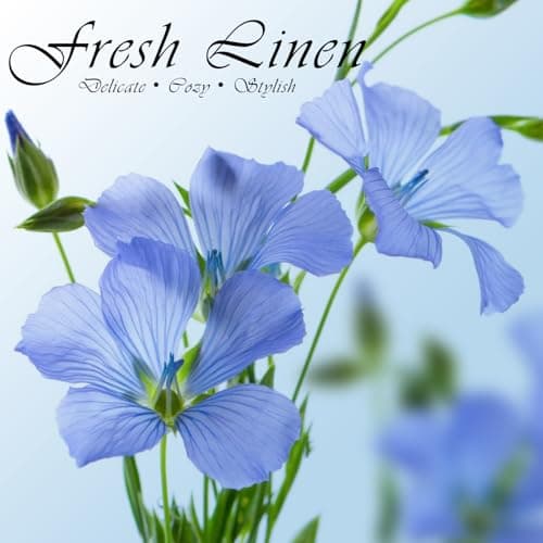 SCENTORINI Scented Sachets for Drawers and Closets, Linen Scent 14 Pack, Long-Lasting Home Fragrance Sachets Bags Wardrobe Freshener for Dresser, Closets, Clothes Storage, Suitcases - Thumbnail 2