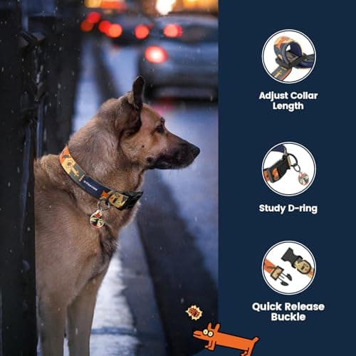 Anti-Lost Dog Collar with Smart QR ID Tag – Instant Scan to Contact Owner, No Battery No GPS Digital Pet ID Collar, Quick Release Soft Adjustable with Secure Metal D-Ring - Thumbnail 6