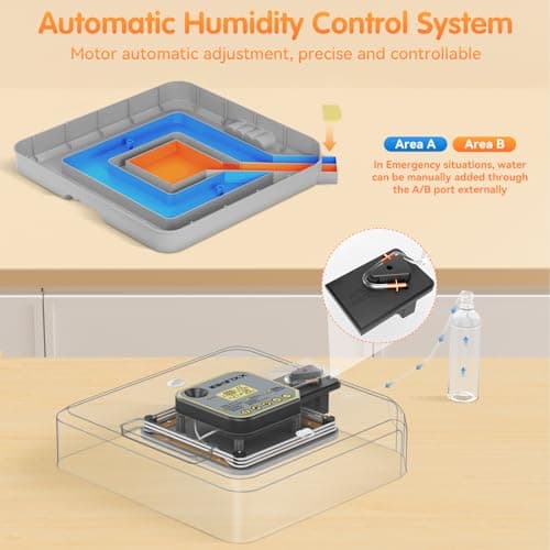 IBKINXX Incubator for Hatching Eggs-48 Egg Capacity, 2026 Newly Upraded Auto Egg Turner & Auto Precision Humidity Control System, 360° Clear Viewing for Chicken, Duck and Quail Eggs (Yellow) - Thumbnail 6