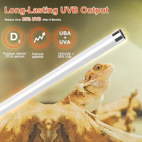 REPTIDLDB 8W T5 10.0 UVB Reptile Light Fixture 12" – High Output UVA UVB Light for Bearded Dragons, Turtles & Snakes – Compact UVB Lamp for Desert & Tropical Reptiles (UVB 10.0-Desert, 12INCH-8W) - Thumbnail 3