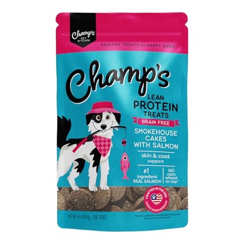 CHAMPS Skin & Coat Soft Dog Treats — Salmon + Biotin + Flaxseed • Real Salmon • 26% Protein — 16 oz