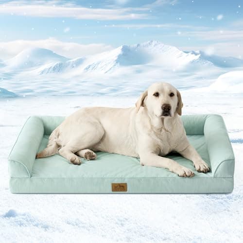 Cooling Dog Bed, Orthopedic Foam Dog Bed with Sides, Removable Washable Cover & Waterproof Lining and Nonskid Bottom, Comfortable Pet Beds for Large Dogs, Green (42" L x 30" W x 7" Th)