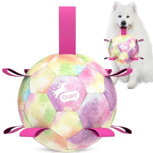 QDAN Extra Large Dog Toys Soccer Ball for Extra Large Dogs - Durable Dog Ball for Beach Pool Water Toy, Interactive Tug of War, Puppy Birthday Gifts, Rainbow (9 Inch) - Image 1
