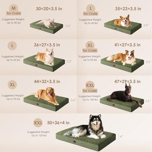 EHEYCIGA Orthopedic Foam Dog Bed for Large Dogs, 35"L x 23"W x 3.5"Th, Dark Green - Thumbnail 2