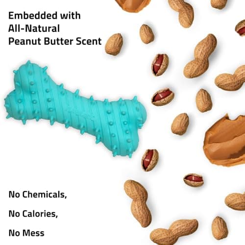 Playology Dog Toys | Puppy Toy Teething Bone Designed for Young & Active Dogs | Jumbo Peanut Butter Scented Toy Made from Non Toxic Materials - Thumbnail 4