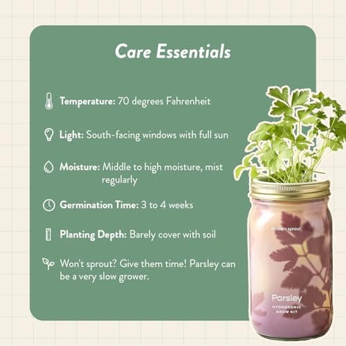 Modern Sprout Garden Jar & Herb Stripper Bundle, Self-Watering Herb Grow Kit w/Recyclable Mason Jar + 3-in-1 Prep, Peeler & Grater Plate, Indoor Gardening & Kitchen Gift Set (Rosemary & Parsley) - Thumbnail 6