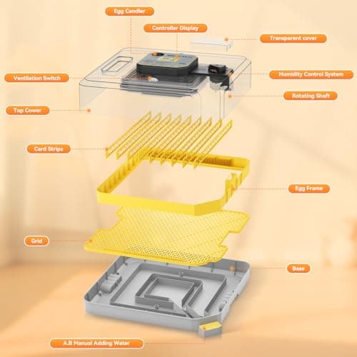 IBKINXX Incubator for Hatching Eggs-48 Egg Capacity, 2026 Newly Upraded Auto Egg Turner & Auto Precision Humidity Control System, 360° Clear Viewing for Chicken, Duck and Quail Eggs (Yellow) - Thumbnail 5