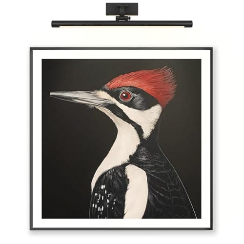 Pileated Woodpecker Wall Art, Bird Portrait Print, 12x12in (30x30cm)