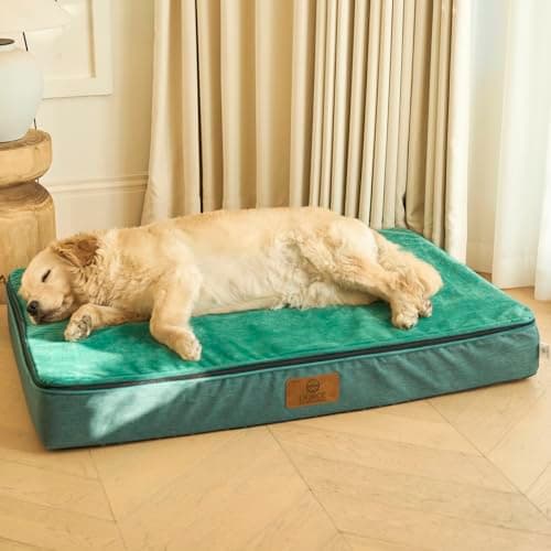LIORCE Orthopedic Memory Foam XXL Dog Bed - 6" Thick Beds for Extra Large Sized Dog - Waterproof Removable Washable Cover & Wrap-Around Zipper - Ultimate Comfort & Easy Maintenance, Green