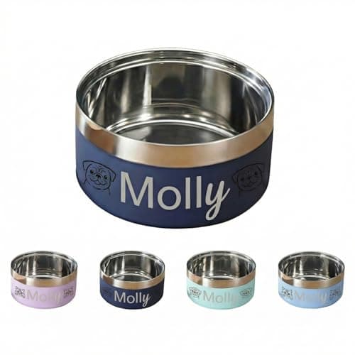Personalized Engraved Dog Cat Bowl – Custom Name & Cute Pattern, 304 Stainless Steel, Double Layer, Durable, Easy Clean, Pet Gift for Small to Large Pets