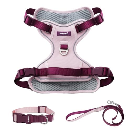 Pink Dog Harness Leash Collar Set, No Pull Reflective Dog Vest Harness with Control Handle, Adjustable Breathable Pet Harness for Small Medium Dogs Walking Training - Image 1