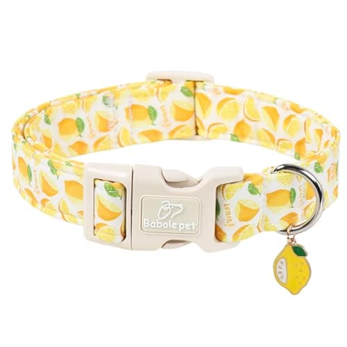 Babole Pet Summer Dog Collar Yellow Lemon Dog Collars for Large Dogs - Lightweight Adjustable Cute Male Female Dogs Everyday Collar with Safety Buckle L