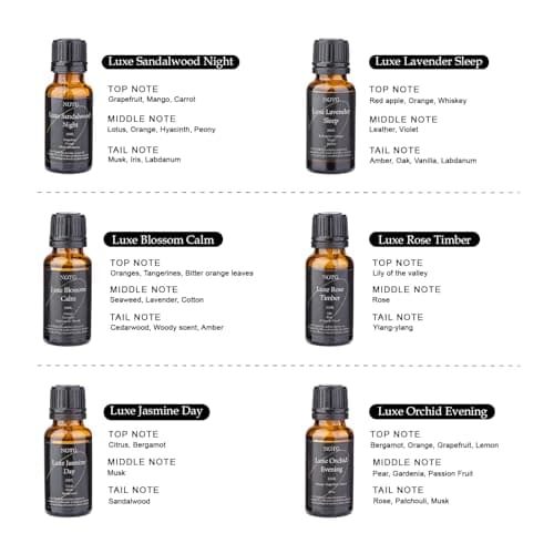 Essential Oils Set - Top 6 Luxury Scents for Diffuser, Humidifier, Aromatherapy, Candle & Soap Making, Premium Scented Oil Gift Set for Home & Office, Inspired by Luxury Brand perfumes(20ML) - Thumbnail 3