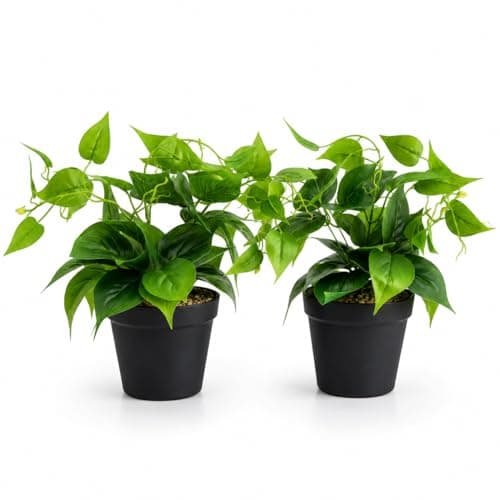 Corvessee Fake Plants – Set of 2 Pothos in Black Pots, Realistic Artificial Pothos for Indoor Decor, Lifelike Greenery for Living Room, Shelf, Office - Short Pothos