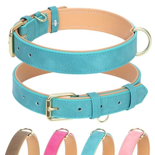 Jumpress Leather Dog Collar for Small Dogs, Soft Padded Dog Leather Collar with Heavy Duty Gold Buckle, Durable & Comfortable, Teal Blue, S - Image 1