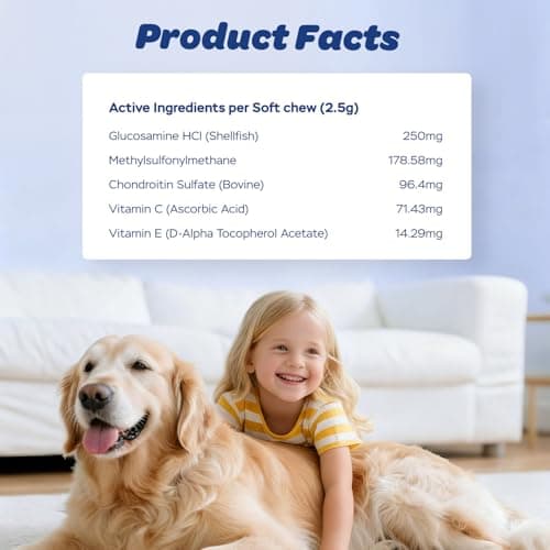 Xiderdl Dog Hip & Joint Supplement Chews with Glucosamine, Chondroitin & MSM – Joint Support Chews with Vitamins C & E for Dogs 120 Soft Chews - Thumbnail 6