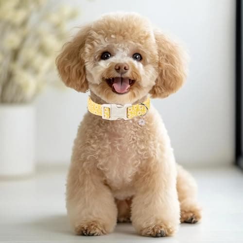 Babole Pet Yellow Daisy Dog Collar Cute Summer Dog Collars for Giant Large Dogs - Lightweight Adjustable Girly Floral Female Dogs Everyday Collar with Safety Buckle XL - Thumbnail 2