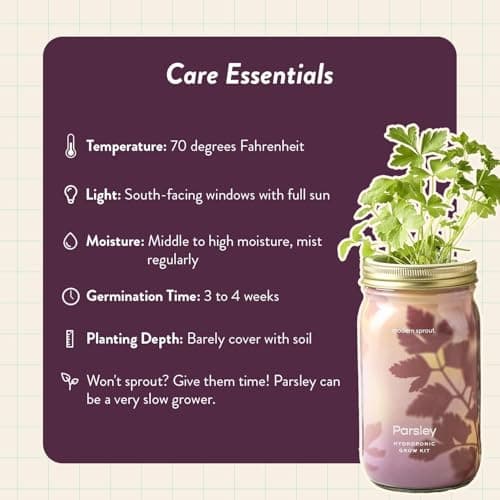 Modern Sprout Mason Garden Jar - Self-Watering Hydroponics Growing System Kit with Organic Herb Seeds - Jar Planter for Indoor Herb Garden - Seed Starter Kit - Home Decor & Gifting - Parsley - Thumbnail 6