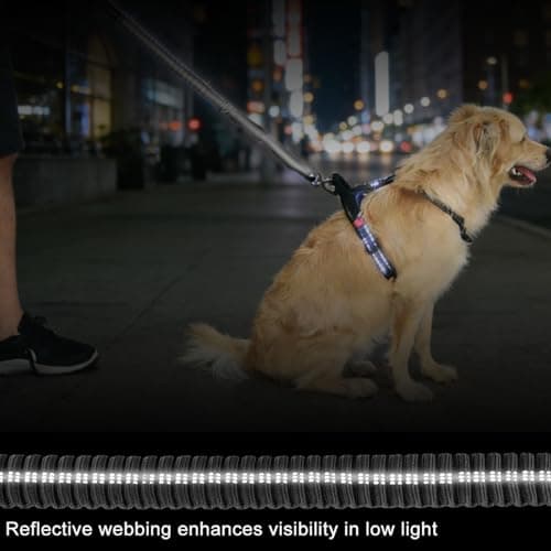 Dog Leash Heavy Duty - 4-6FT Long Leash Strong Shock Tactical Tug Leashes, Dog Seat Belt for Car with 2 Padded Handles, Reflective Rope Lead for Medium L X-Large Dogs Walking Running Training (Black) - Thumbnail 6