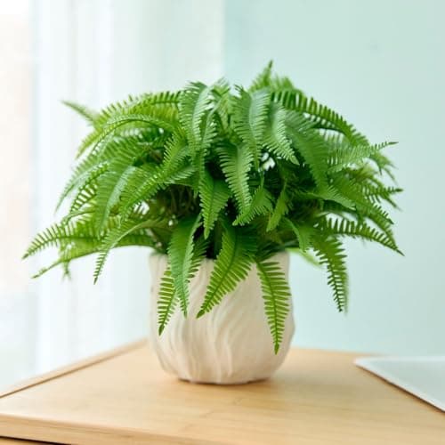 Arbolanta 9'' Faux Boston Fern Potted — Small Artificial Plant in White Boho Embossed Planter for Tabletop, Home, Office, Bathroom, Indoor & Sheltered Outdoor Decor - Thumbnail 2