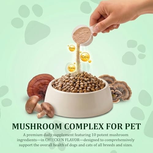 Luckiepaw Organic Turkey Tail Mushroom Supplement for Senior Dogs & Cats – 10-in-1 Functional Mushroom Powder with CoQ10 for Immune Support, Digestive Health – Chicken Flavor, Scoop Included - Thumbnail 4