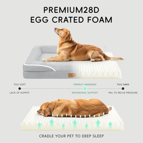 Homemate Dog Bed Medium Size Dog 28x23 inch with Orthopedic Foam Waterproof Outdoor Pet Cat Bed Sofa Supplies with Toy Dogs Crate Pad Couch with Removable Washable Cover & Non-Slip Botton Light Grey - Thumbnail 4