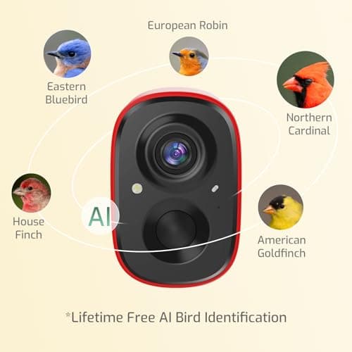 Richbird Smart Bird Feeder Camera with Vivid 2.5K Color Night Vision, Free AI Bird Identifier, Durable Squirrel-Resistant Metal Body, Solar Powered, Outdoor Gift for Mom Dad Birds Lovers - Thumbnail 5