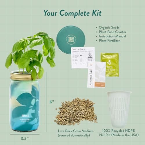 Modern Sprout Garden Jar Gift Pack - Self-Watering Hydroponics Growing System Kit with Organic Herb Seeds - Seed Starter Kit for Indoor Herb Garden - Home Decor & Gifting - Basil, Parsley & Mint - Thumbnail 6