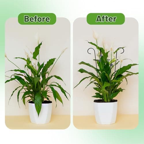 25.6 Inch Plant Trellis for Climbing Plants, 4 Pack Metal Garden Trellis for Potted Plants Indoor House Plant Climber Support Stakes with Plant Clips for Monstera Pothos Hoya Ivy Flower - Thumbnail 5