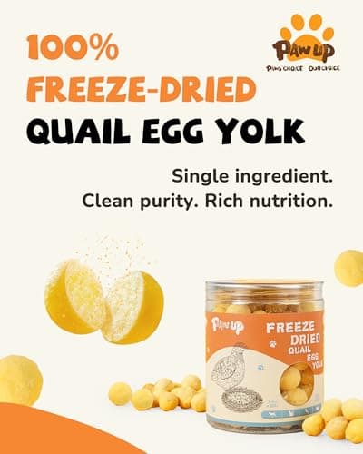 PAWUP Freeze Dried Cat & Dog Treats, Natural Quail Egg Yolk, Single Ingredient, High-Protein Pet Snacks for Skin & Coat Health, No Artificial Additives, 9.2 oz - Thumbnail 2