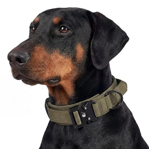 Relux Tactical Dog Collar - Adjustable Pet Collar with Heavy-Duty Metal Buckle, Designed for Large Breeds, Durable and Comfortable Dog Collar, Suitable for Large Dogs (Green, XL) - Image 1