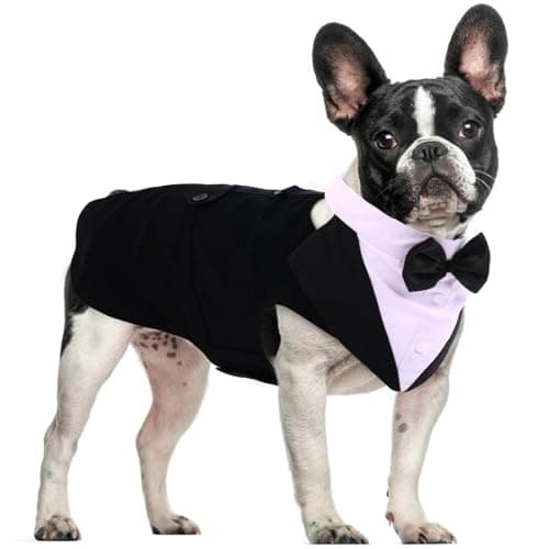 DORA BRIDAL Dog Tuxedo for Small Dogs,Dog Suit and Bowtie, Formal Dogs Wedding Outfit, Pet Tuxedo and Bandana Set Valentines Birthday Christmas Party Costumes for French Bulldog, Pomeranian, Black,S