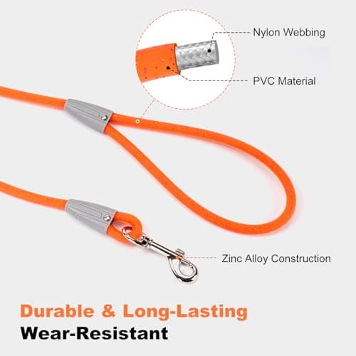 5FT Nylon Waterproof Dog Leash, Durable Strong Odor-Proof Dog Leashes with Zinc Alloy Clip, Walking, Beach, Yard, Swimming, Training Leash for Small, Medium & Large Dogs Blue - Thumbnail 4