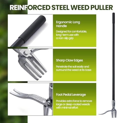 KNLLFolan Weed Puller, Stand Up Weed Puller Tool with Steel Long Handle, 4 Claw Steel Head Weeder Tool, Handle Weeder Tool Without Bending, Pulling, or Kneeling - Thumbnail 5