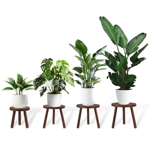 TOMSHUB 4-Pack Wood Plant Stands Indoor Outdoor, Heavy Duty 6-12 Inch Flower Pot Holder Stand, Natural Camphor Pine Wood Modern Large Plant Stool for Multiple Potted Plants, Home Office Garden & Bar Decor - Image 1