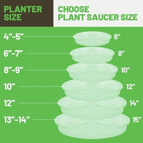 MUDEELA 6 Pack of 12 Inches Plant Saucers for Indoor, Durable Plastic Round Plant Tray Plant Dish Pant Plate to Catch Water for Flower and Plant Pot, Thicker, Stronger, Deeper, Clear - Thumbnail 3