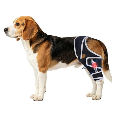 Moysoon Dog Knee Brace for Back Leg,Adjustable Leg Bracket for Support, Universal Dog Knee Use,(Size M)