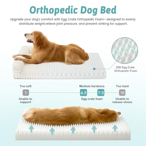COZY KISS Large Dog Bed, Faux Rabbit Fur Orthopedic Foam Dog Bed with Sides, Removable Washable Cover & Waterproof Lining, Comfortable Pet Couch for Large Dogs, Cream (44" L x 32" W x 7" Th) - Thumbnail 4