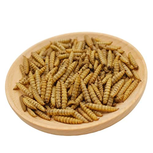 GRUBSFARM Premium Chicken Treats 10LB - Superior to Dried Mealworms - Non-GMO & 85X More Calcium Than Meal Worms - Molting & Laying Supplement - BSF Larvae Treats for Layer Hens, Ducks Wild Birds - Thumbnail 6