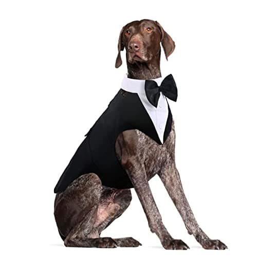 Dog Tuxedo for Large Dogs, Dog Wedding Suit and Bowtie