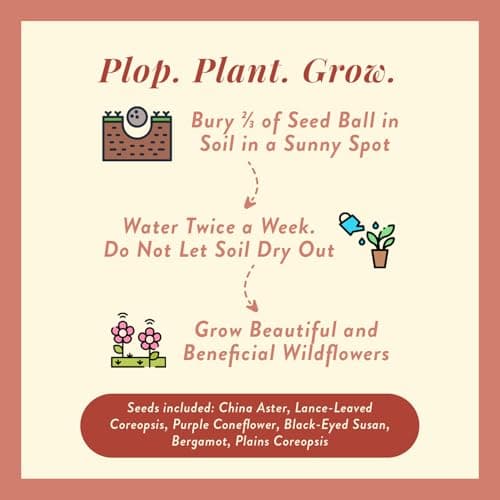 Modern Sprout Wildflower Seed Ball Poop - Eco-Friendly Gift - Non-GMO Hand-Rolled Clay Seed Bombs with Wildflower Seeds - Plop Plant & Grow Gardening Gift Set for All Occasions (Jingle Plop-Pack of 3) - Thumbnail 2