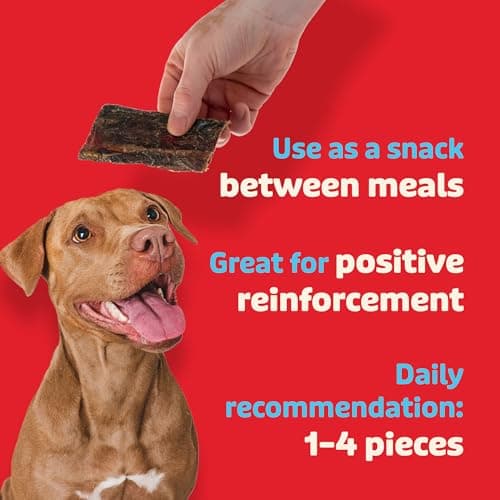 Lovie Beef Liver and Lung Dog Treats - Dehydrated Air Dried Soft Bites, High Protein, Two Ingredients, All Natural, 16 oz. - Thumbnail 4