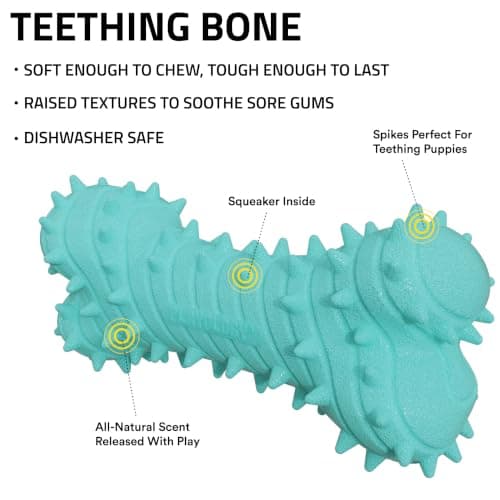 Playology Dog Toys | Puppy Toy Teething Bone Designed for Young & Active Dogs | Jumbo Peanut Butter Scented Toy Made from Non Toxic Materials - Thumbnail 2