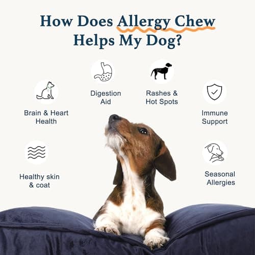 Dog Allergy Chews, Dog Probiotics for Itchy Skin Dog Allergy Relief Bites Skin and Coat Supplement Immune Support with Omega 3 Fish Oil Colostrum for Dog Seasonal Allergies Itchy Skin and Ear 120ct - Thumbnail 2