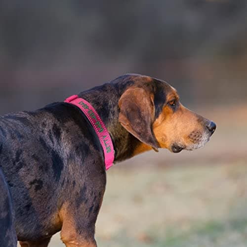 Personalized Martingale Dog Collar-Reflective Martingale Collars with Buckle, Custom Training Martingale Dog Collars Embroidered with Name and Phone Number for Small Medium Large Dogs - Thumbnail 4